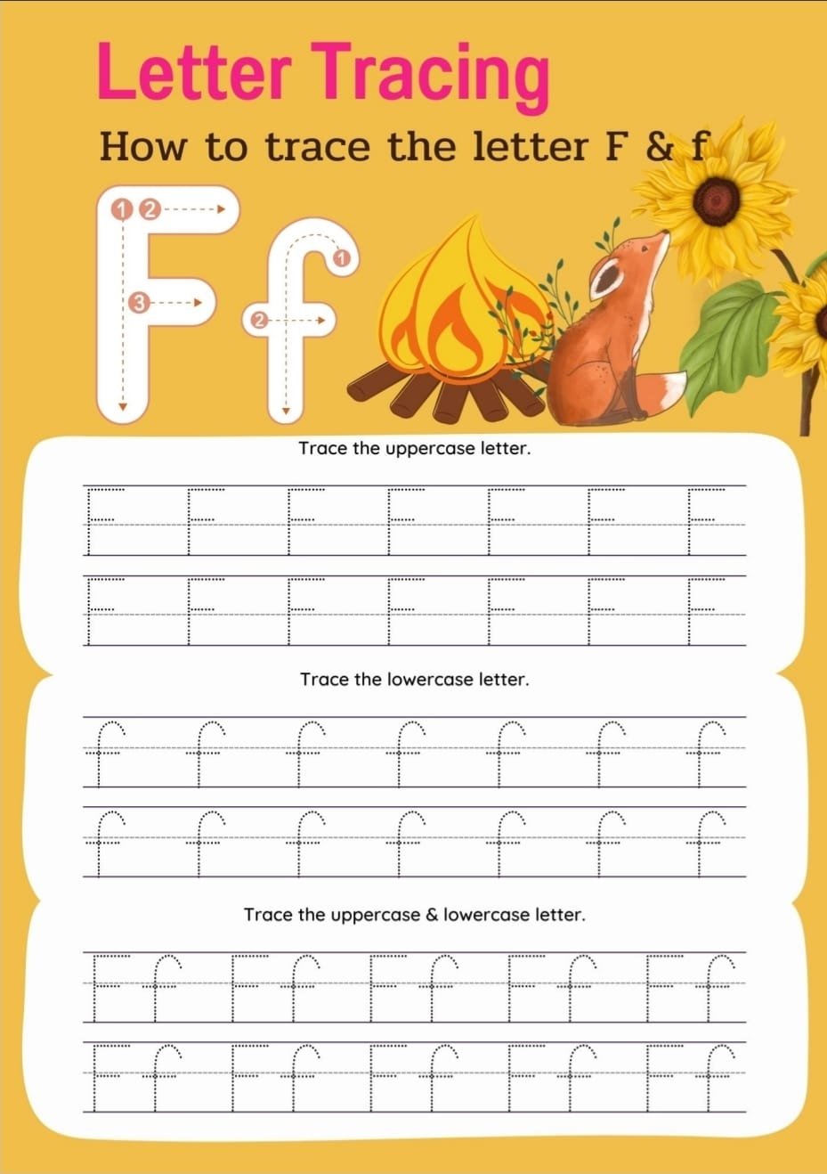 WhatsApp Image 2026-03-11 at 4.16.19 PM (2)