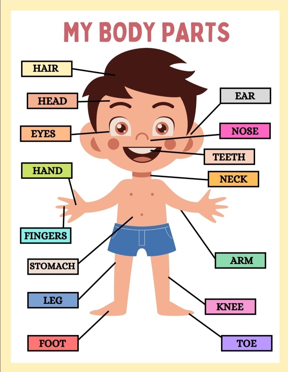 WhatsApp Image 2026-03-11 at 8.00.21 PM